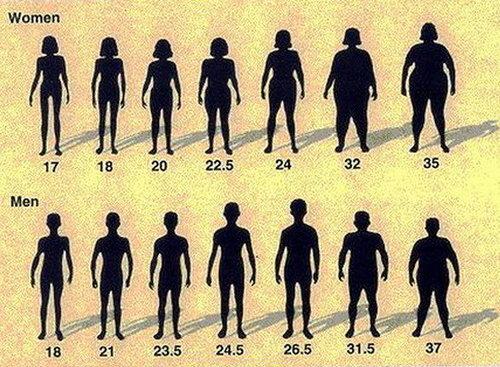 BMI计算公式及标准（男性或女性BMI正常值范围是多少）  第4张