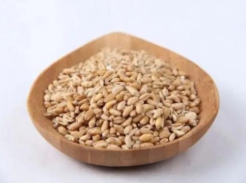 浮小麦的功效和作用（浮小麦的用法和用量） 第2张