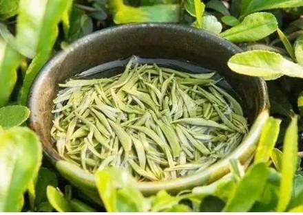 龟山绿茶的功效和作用（龟山岩绿茶一斤多少钱？） 第2张