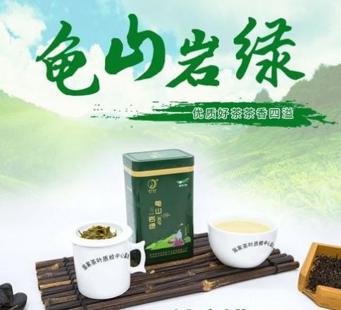 龟山绿茶的功效和作用（龟山岩绿茶一斤多少钱？）  第1张